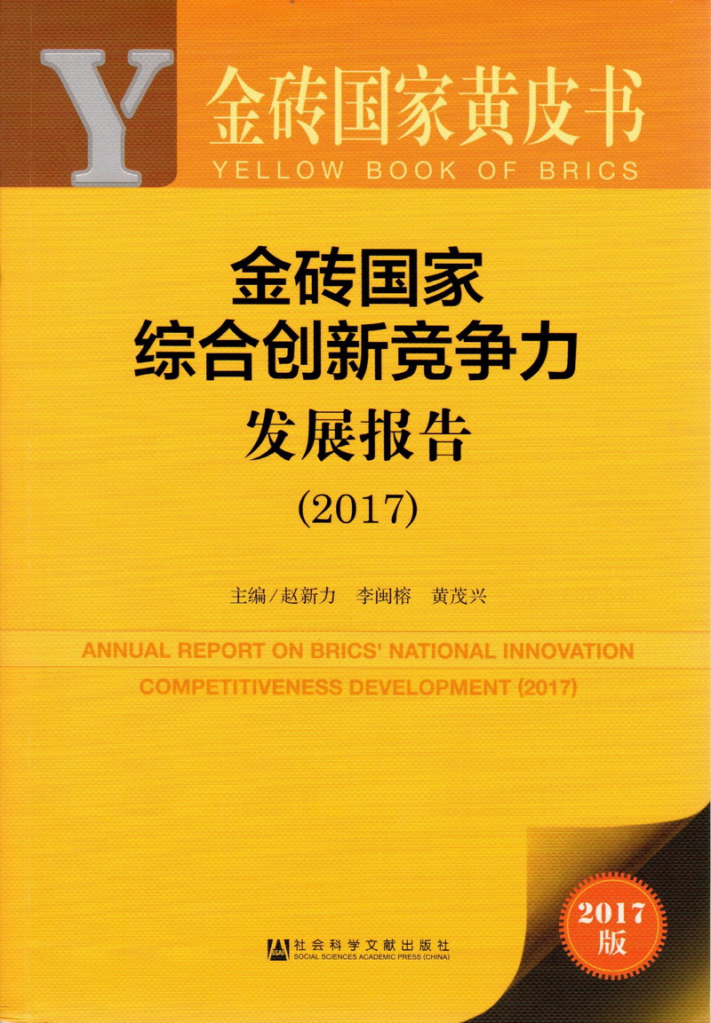 骚逼电影视频网站金砖国家综合创新竞争力发展报告（2017）